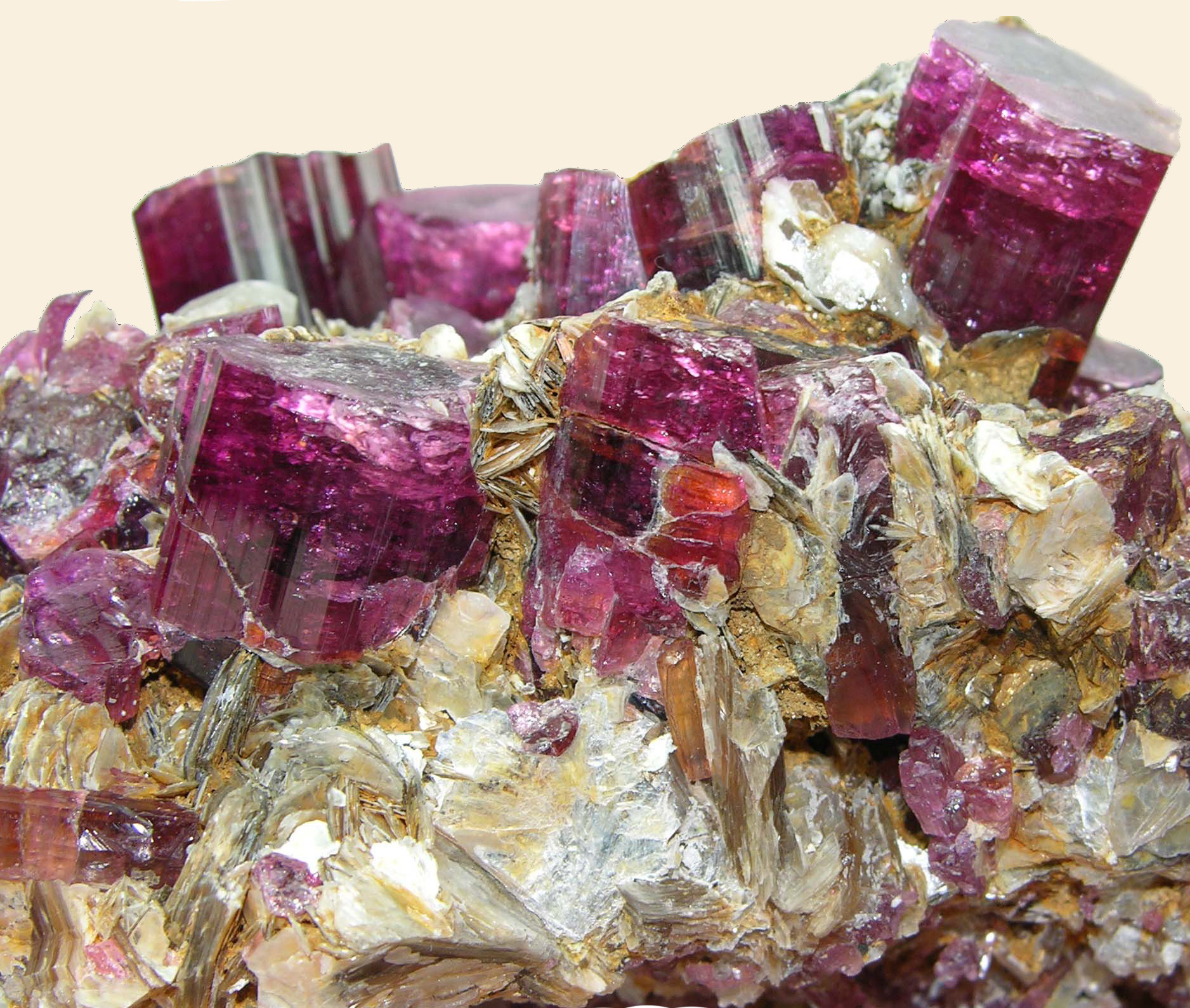 Tourmaline Preston Beebe